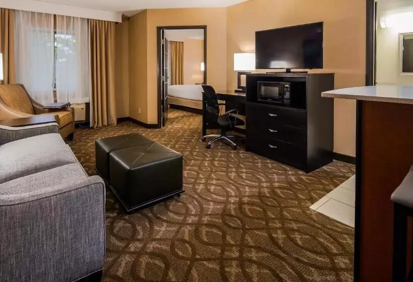 身障者適用スイートルーム, Best Western Okemos/east Lansing Hotel & Suites
