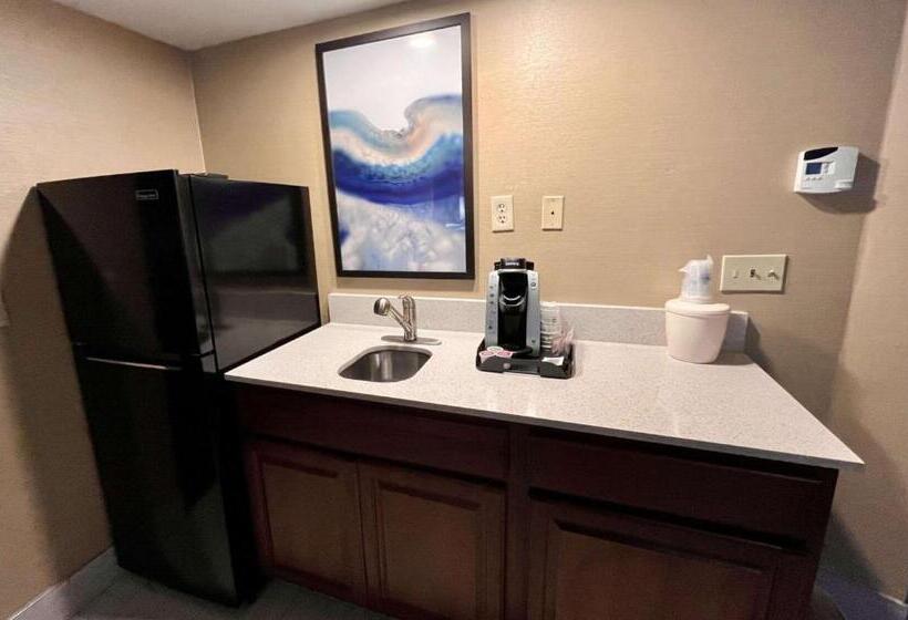 جناح لذوى الاحتياجات الخاصة, Best Western Okemos/east Lansing Hotel & Suites