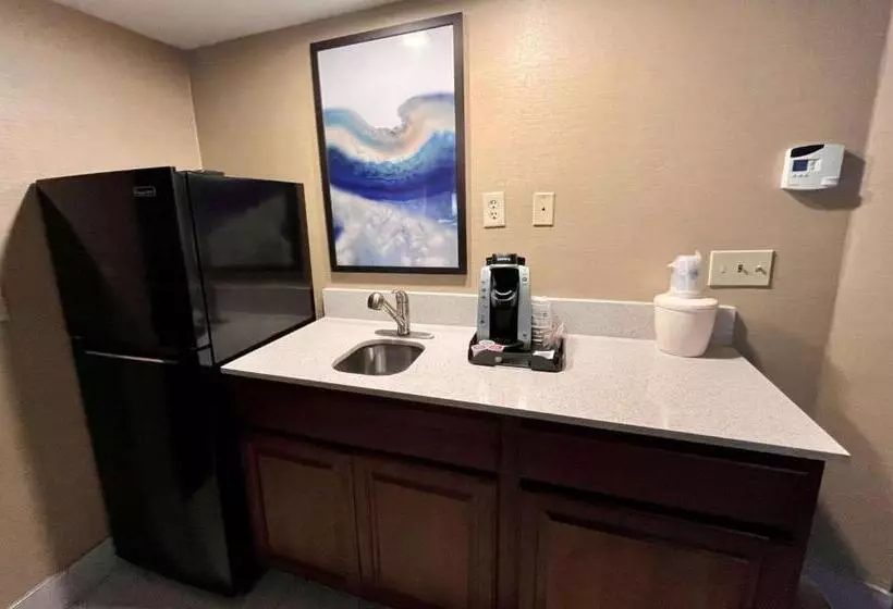 身障者適用スイートルーム, Best Western Okemos/east Lansing Hotel & Suites