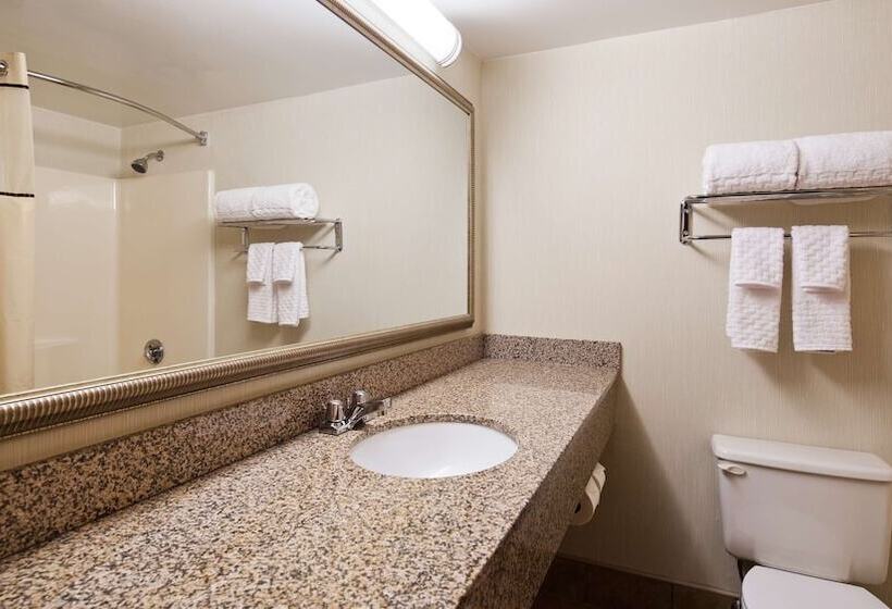 غرفة ديلوكس, Best Western Royal Plaza Hotel And Trade Center