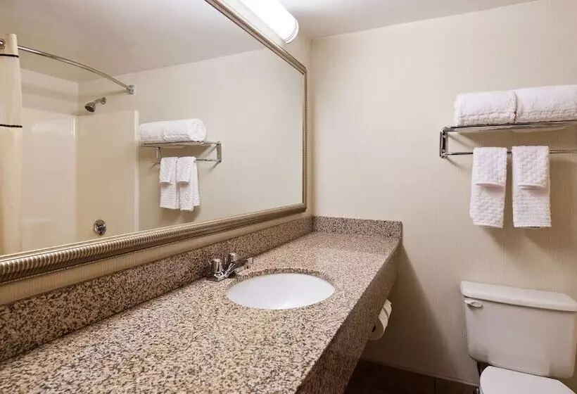 デラックスルーム, Best Western Royal Plaza Hotel And Trade Center