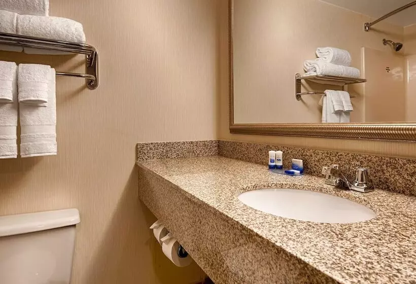 デラックスルーム, Best Western Royal Plaza Hotel And Trade Center