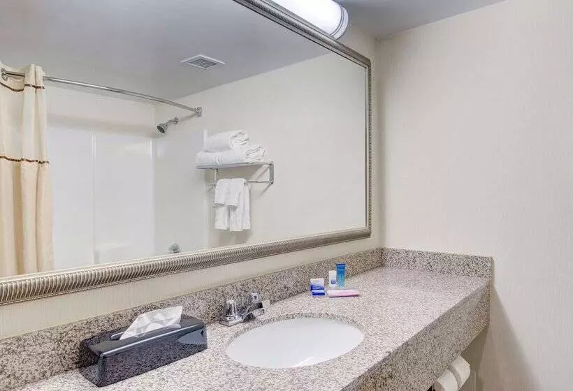 デラックスルーム, Best Western Royal Plaza Hotel And Trade Center