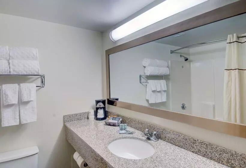 デラックスルーム, Best Western Royal Plaza Hotel And Trade Center