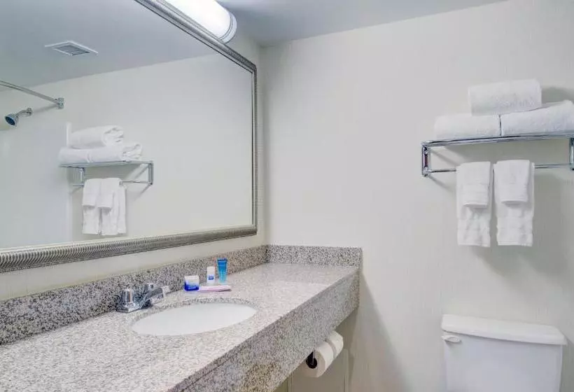 １ベッドルームアパートメント, Best Western Royal Plaza Hotel And Trade Center