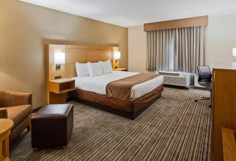 身障者適用スタンダードルーム, Best Western Royal Plaza Hotel And Trade Center
