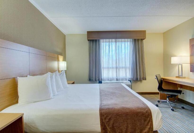 غرفة قياسية سرير كينج, Best Western Royal Plaza Hotel And Trade Center