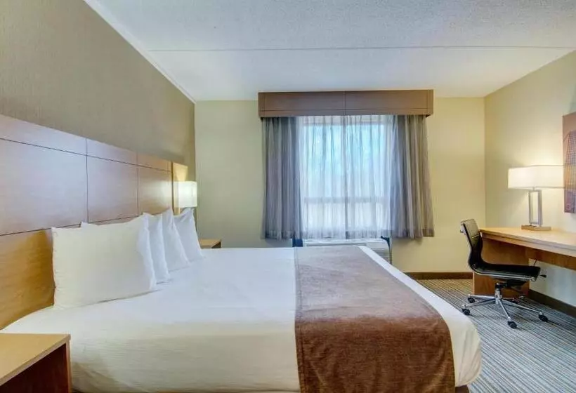 キングサイズベッドのスタンダードルーム, Best Western Royal Plaza Hotel And Trade Center