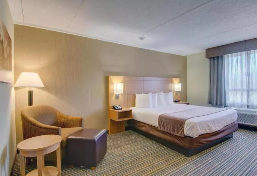 キングサイズベッドのスタンダードルーム, Best Western Royal Plaza Hotel And Trade Center