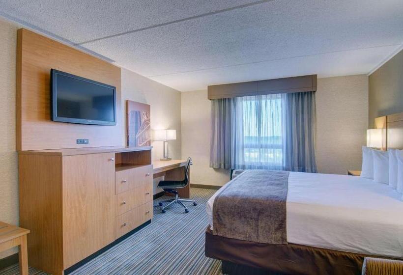 غرفة قياسية سرير كينج, Best Western Royal Plaza Hotel And Trade Center