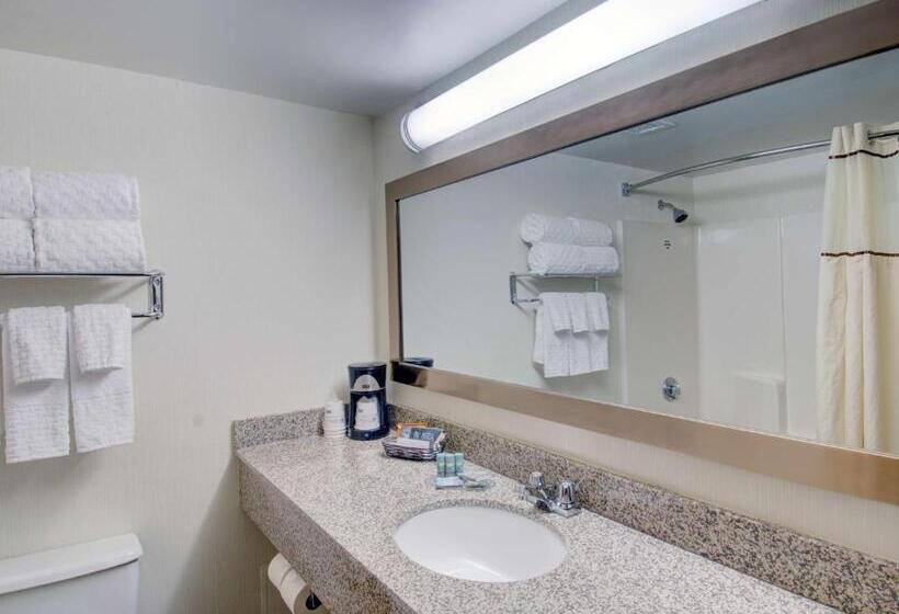 غرفه قياسيه سريرين مزدوجين, Best Western Royal Plaza Hotel And Trade Center