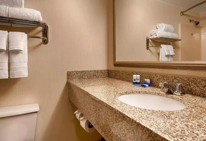 身障者適用キングサイズベッドルーム, Best Western Royal Plaza Hotel And Trade Center