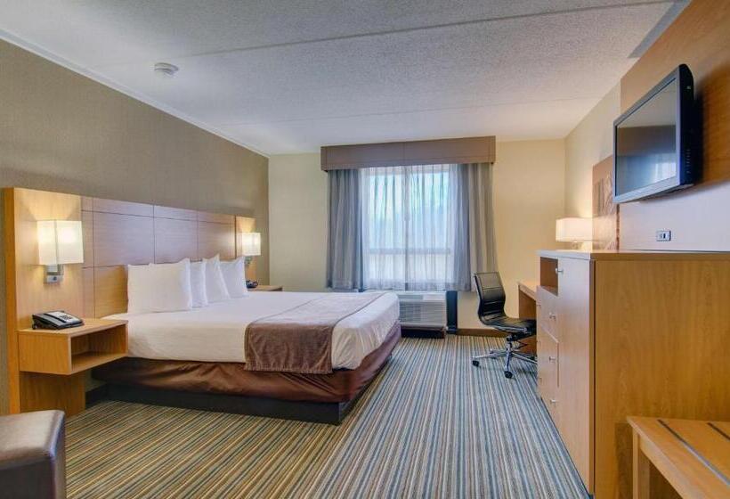 غرفة قياسية سرير كينج لذوى الإحتياجات الخاصة, Best Western Royal Plaza Hotel And Trade Center