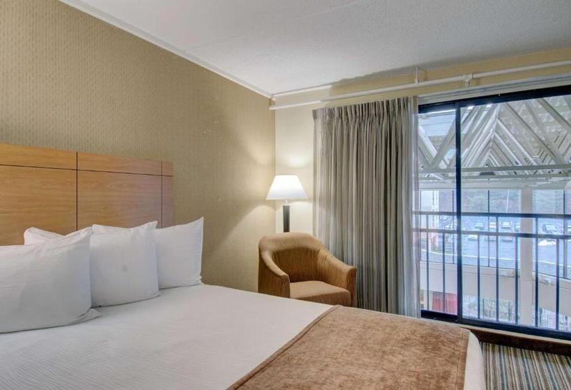 غرفه قياسيه سريرين مزدوجين, Best Western Royal Plaza Hotel And Trade Center