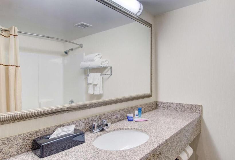 غرفة قياسية سرير كينج لذوى الإحتياجات الخاصة, Best Western Royal Plaza Hotel And Trade Center