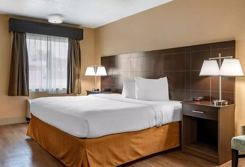 スイート, Best Western Space Shuttle Inn