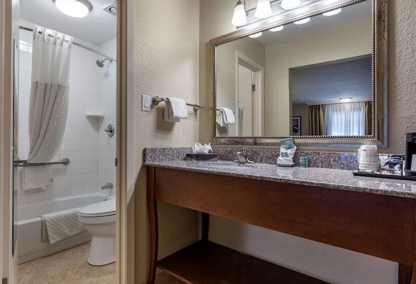 غرفه قياسيه سريرين مزدوجين, Best Western Swiss Clock Inn