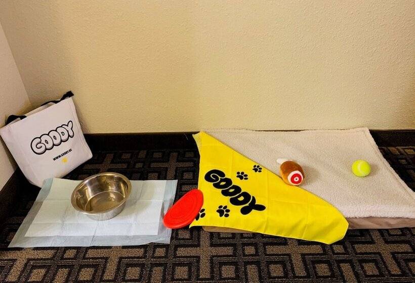 חדר סטנדרט שתי מיטות זוגיות, Best Western Swiss Clock Inn