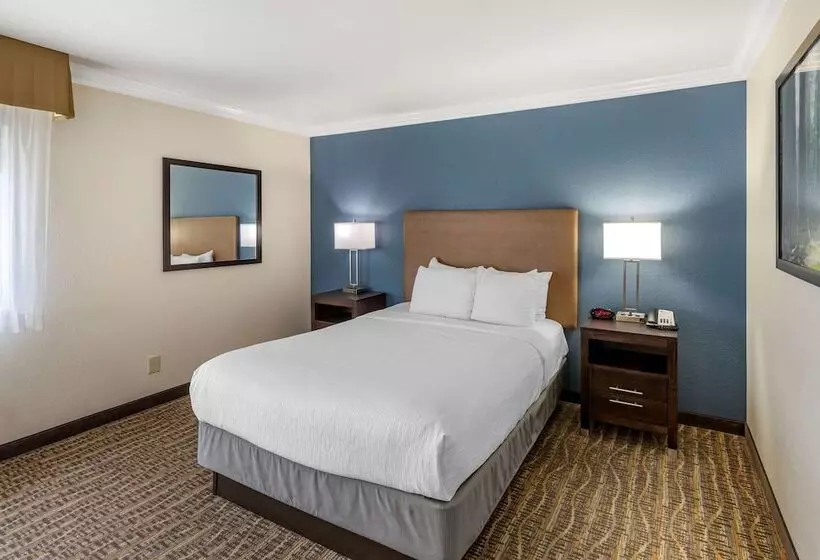 سوئیت برای معلولان, Best Western Town & Country Lodge