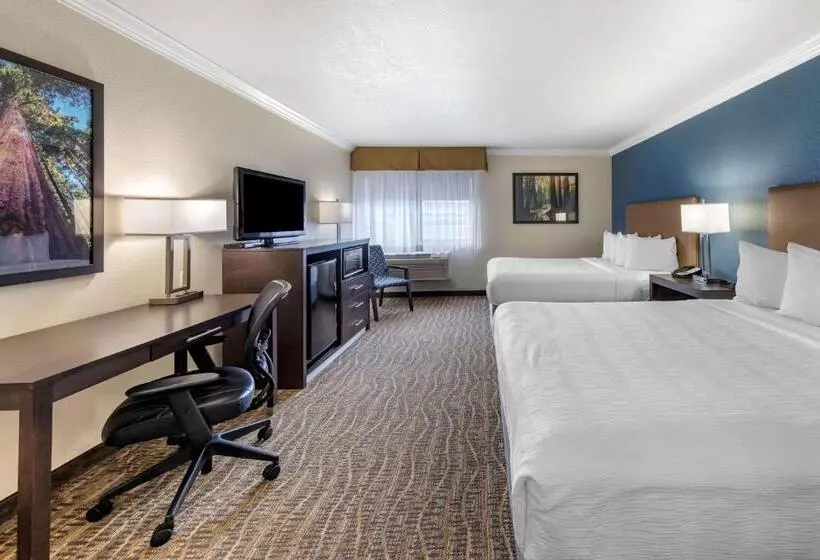 اتاق استاندارد, Best Western Town & Country Lodge
