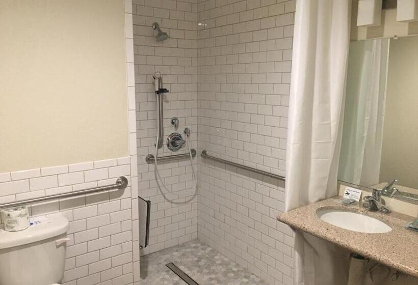 Номер Стандарт Кровать Кинг Адаптированный для Инвалидов, Best Western Town & Country Lodge