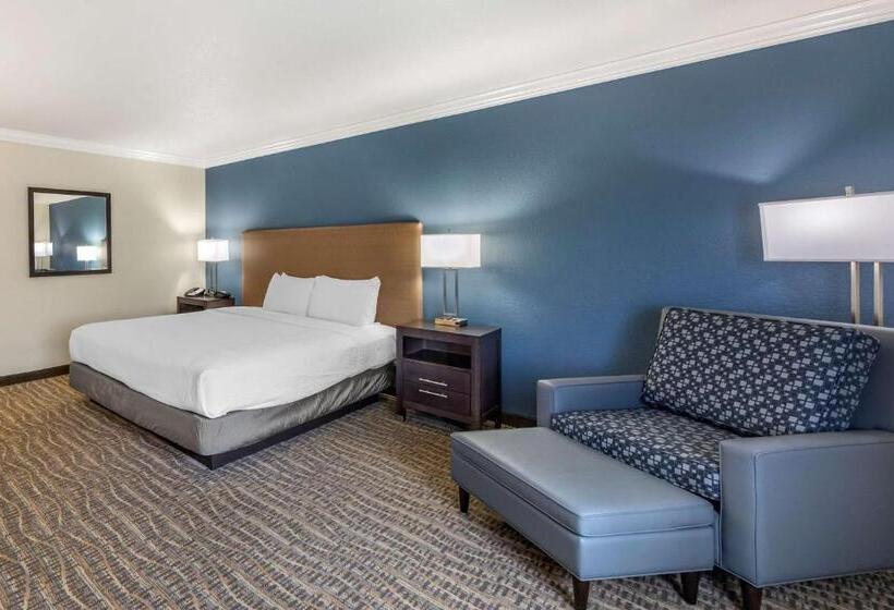 Люкс Адаптированный для Инвалидов, Best Western Town & Country Lodge