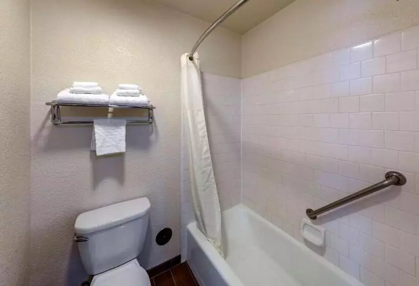 اتاق استاندارد با تخت بزرگ, Best Western Town & Country Lodge