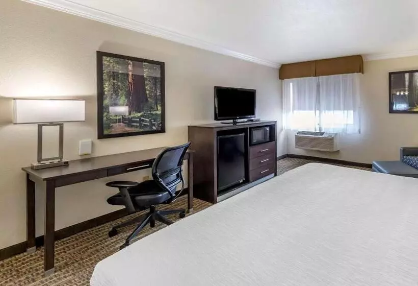 اتاق استاندارد با تخت بزرگ, Best Western Town & Country Lodge