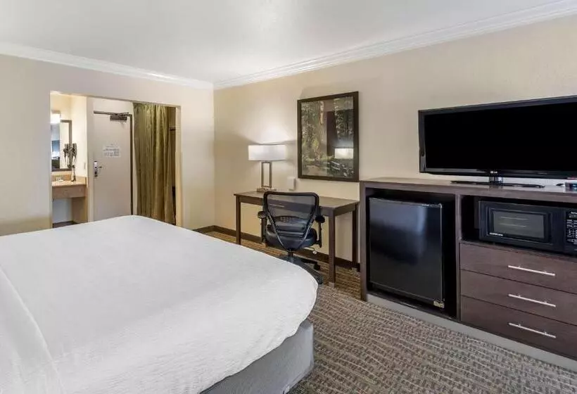 اتاق استاندارد با تخت بزرگ, Best Western Town & Country Lodge