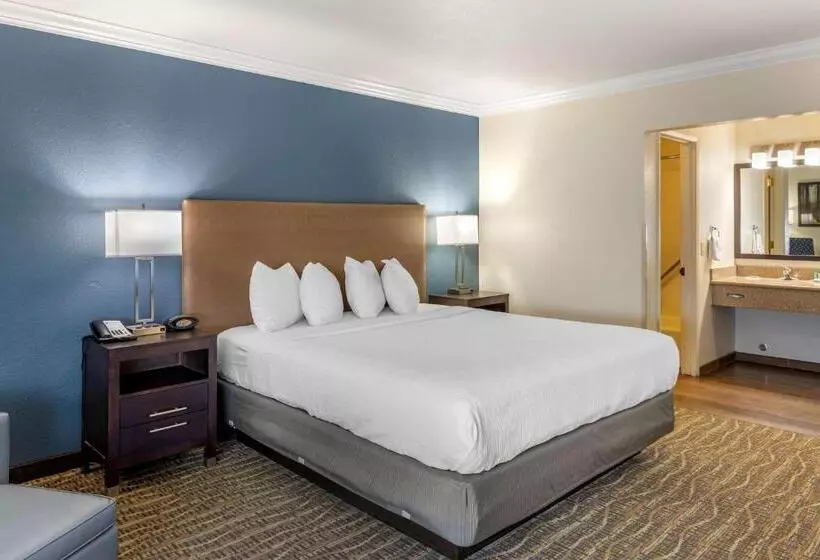 اتاق استاندارد با تخت بزرگ, Best Western Town & Country Lodge