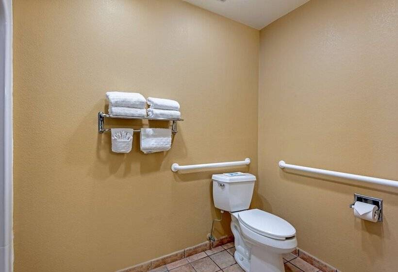 جناح لذوى الاحتياجات الخاصة, Best Western Turquoise Inn & Suites