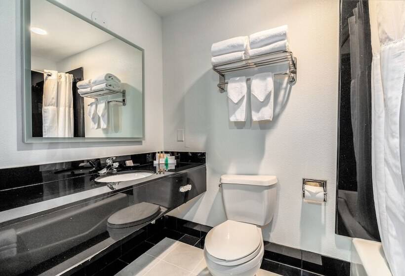 غرفه قياسيه سريرين مزدوجين, Century Park Hotel La