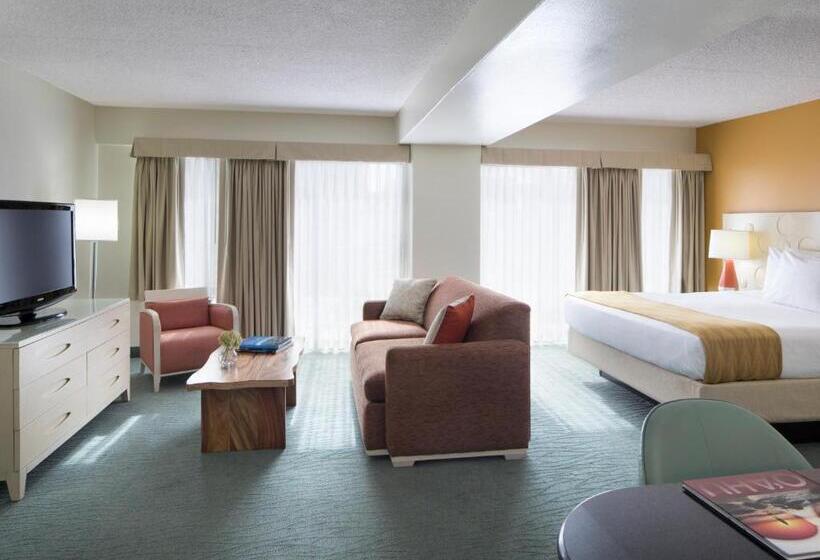 סוויטה אקזקיוטיב, Coconut Waikiki