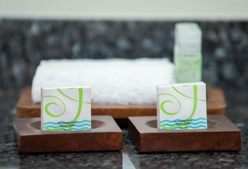 חדר סטנדרט נוף לעיר, Coconut Waikiki