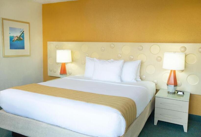 חדר סטנדרט, Coconut Waikiki