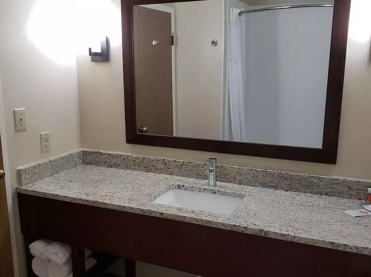 ２ダブルベッドのスタンダードルーム, Comfort Inn Laurinburg