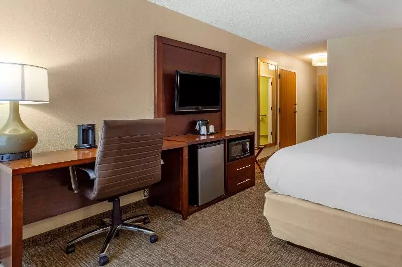 キングサイズベッドのスタンダードルーム, Comfort Inn Laurinburg