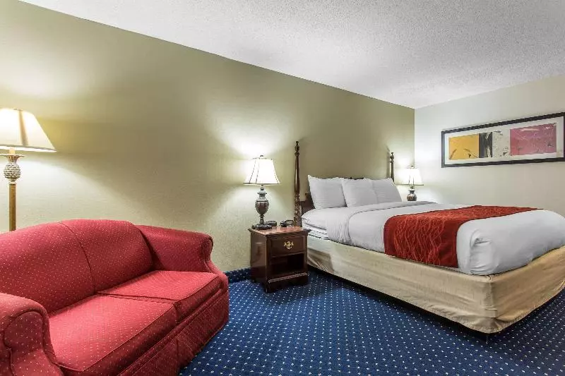 キングサイズベッドのスタンダードルーム, Comfort Inn Laurinburg