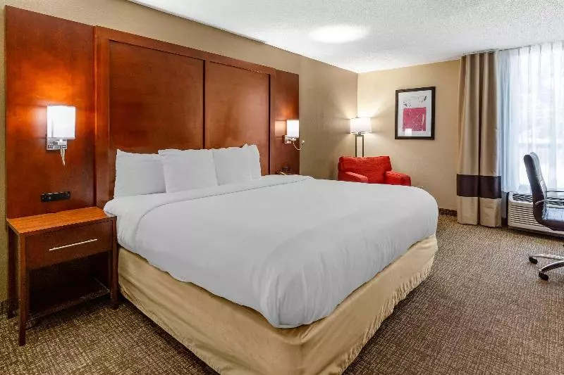 キングサイズベッドのスタンダードルーム, Comfort Inn Laurinburg