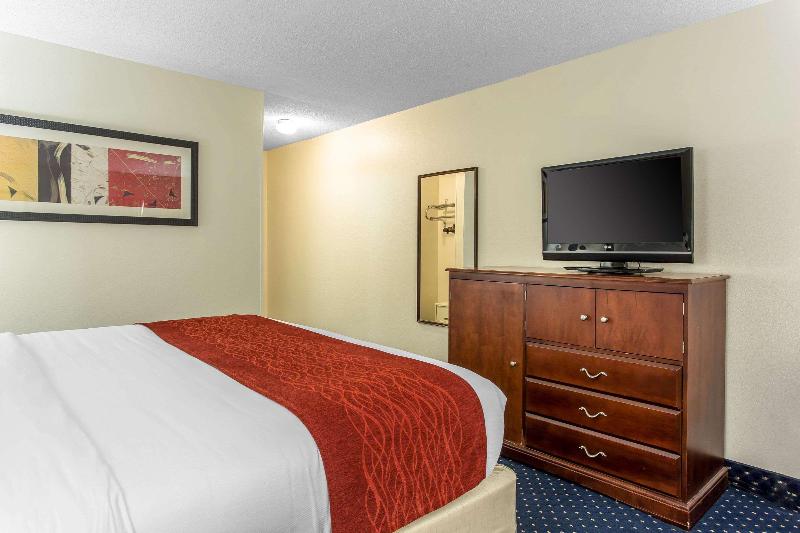 스탠다드 룸 킹사이즈 침대, Comfort Inn Laurinburg