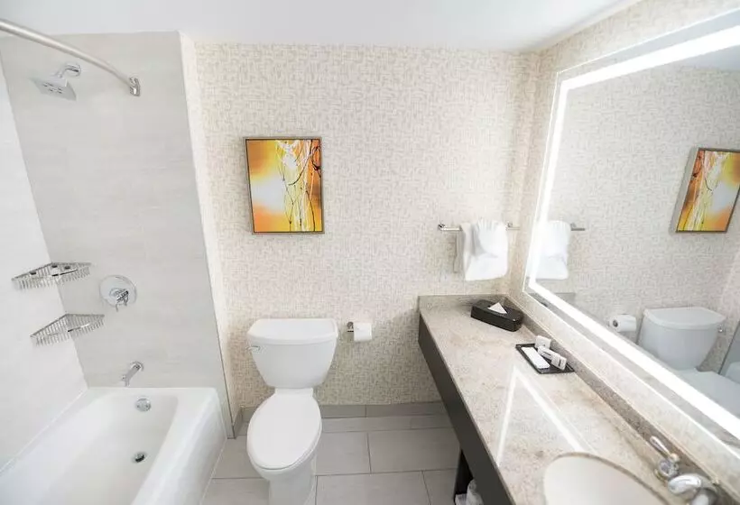 ２ダブルベッドのスタンダードルーム, Crowne Plaza Edison, An Ihg