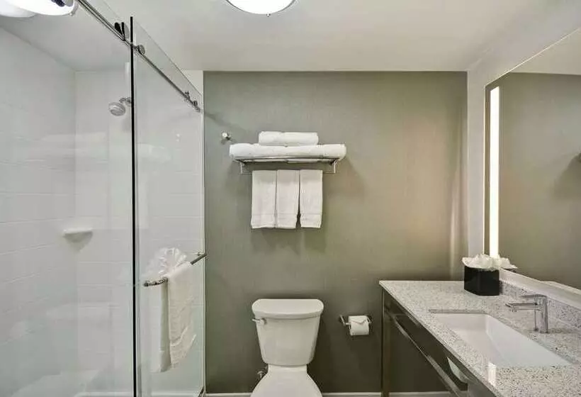 اتاق استاندارد با تخت بزرگ, Hilton Checkers Los Angeles