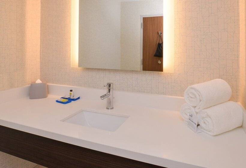 スイート, Holiday Inn Express & Suites   Shreveport   Downtown, An Ihg
