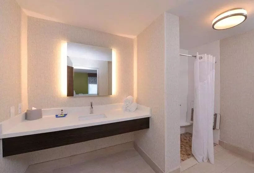سوئیت برای معلولان, Holiday Inn Express & Suites   Shreveport   Downtown, An Ihg