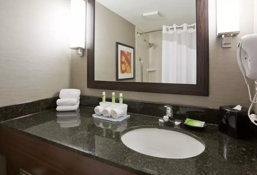 اتاق استاندارد, Holiday Inn Express & Suites Bloomington West, An Ihg