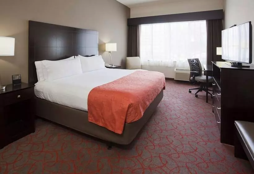 اتاق استاندارد, Holiday Inn Express & Suites Bloomington West, An Ihg