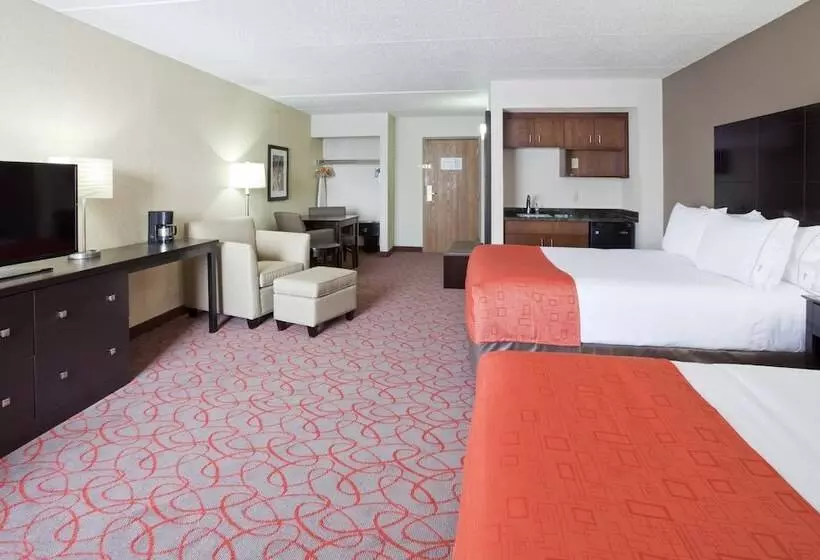 اتاق استاندارد با 2 تخت دوبل, Holiday Inn Express & Suites Bloomington West By Ihg