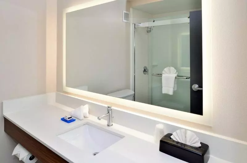 身障者適用スタンダードルーム, Holiday Inn Express Winston Salem Medical Ctr Area