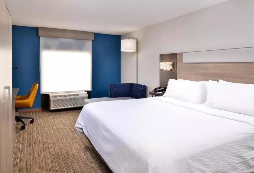 キングサイズベッドのスタンダードルーム, Holiday Inn Express Winston Salem Medical Ctr Area