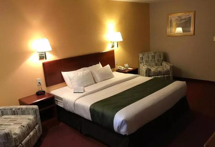 キングサイズベッドのスタンダードルーム, Quality Inn Cedar City University Area